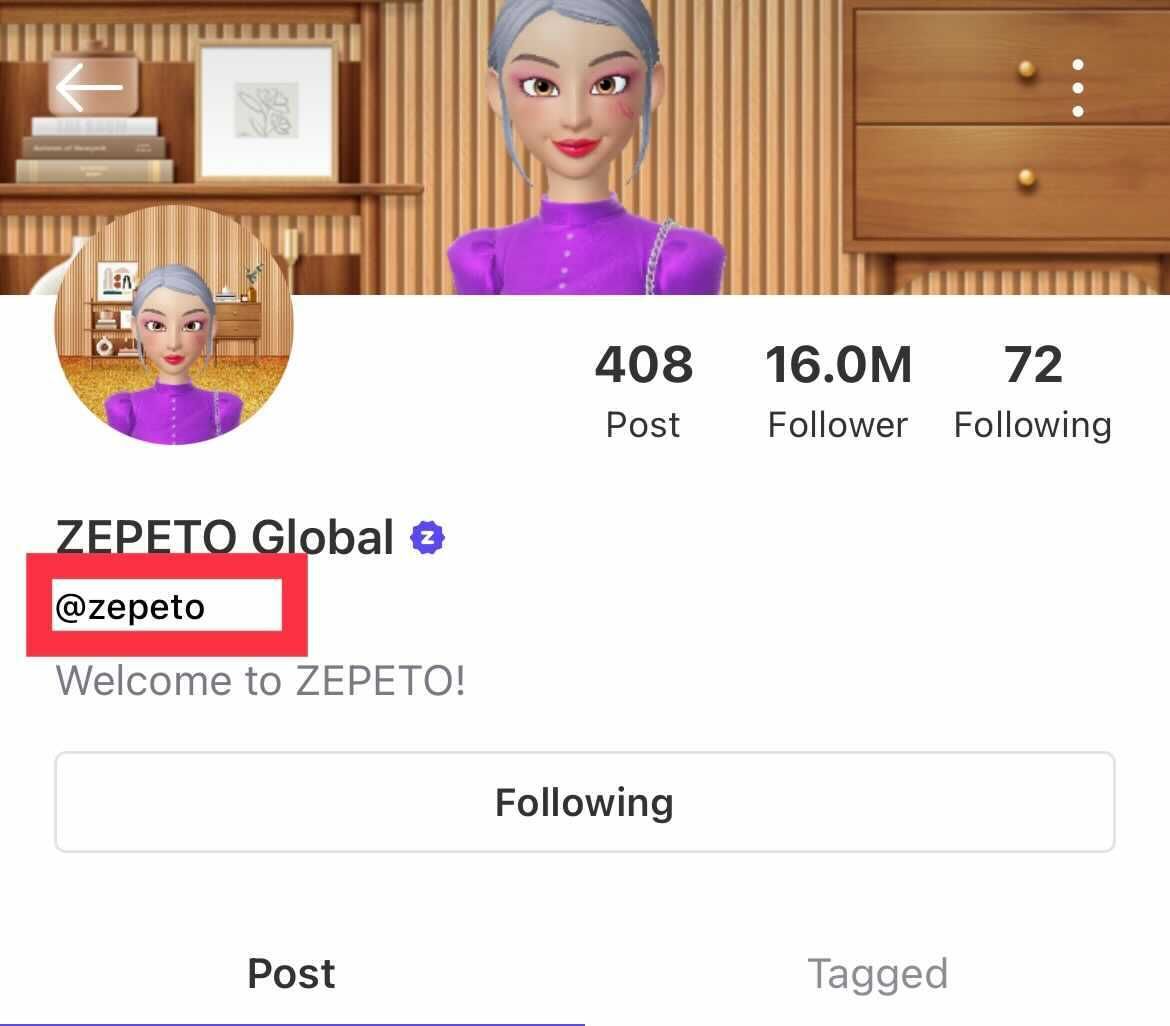 Panduan Letak ID Zepeto